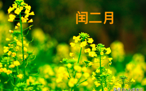 闰二月有什么忌讳和讲究(闰二月的十大禁忌)