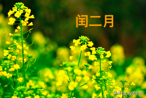 闰二月有什么忌讳和讲究(闰二月的十大禁忌)插图