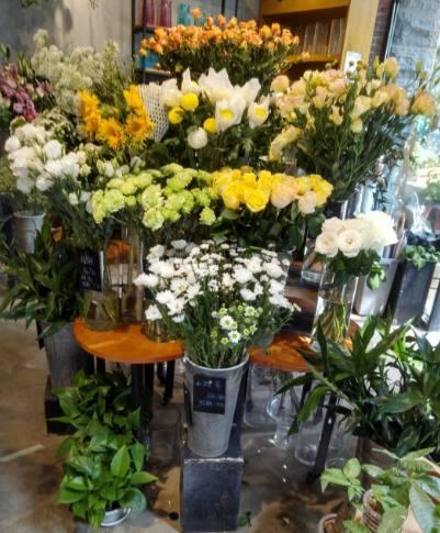 武汉热门花店排名前十(济南花店排名前十名)插图15