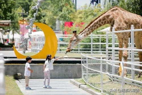 幼儿培训学校排名前十(幼儿园的孩子报什么培训班好)插图13