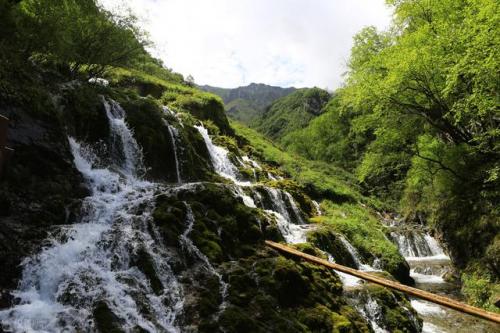 西宁旅游景点(塔尔寺)插图35