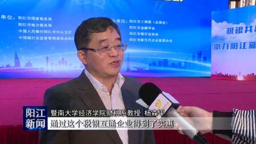 阳江财税企业排名前十(阳江市100强企业)插图5