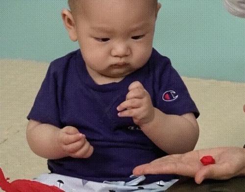 早教产品(1岁宝宝启蒙教育)插图15
