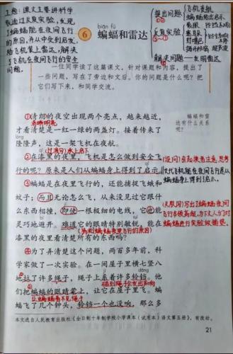 蝙蝠和雷达的资料(模仿蝙蝠发明雷达的例子)插图