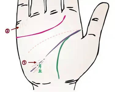 掌纹分析专家排名前十(掌纹密码书籍)插图17