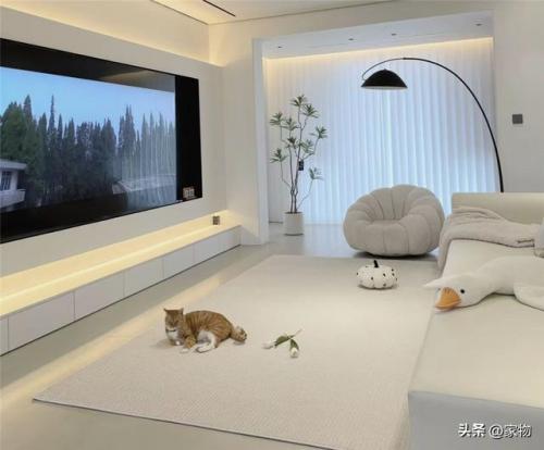 客厅装饰(客厅装修效果图)插图2