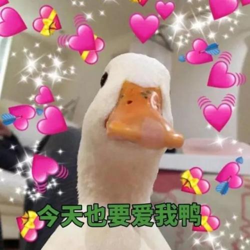 排名前十微信头像(排名前十微信网名)插图76