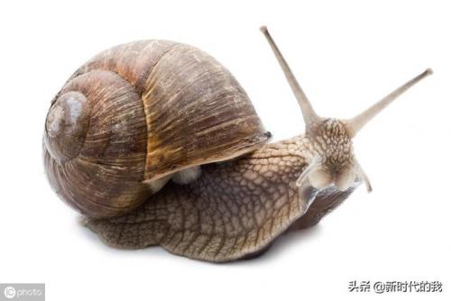 惬意的反义词(惬意的反义词是什么 标准答案)插图