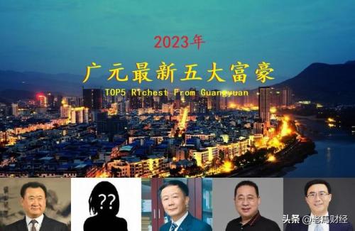 旺苍高端小区排名前十(旺苍最便宜的房子)插图