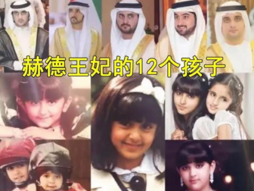 出逃的公主剧情介绍(公主出逃记大结局)插图1