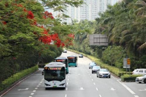 深圳市公交车(深圳m456公交车路线)插图