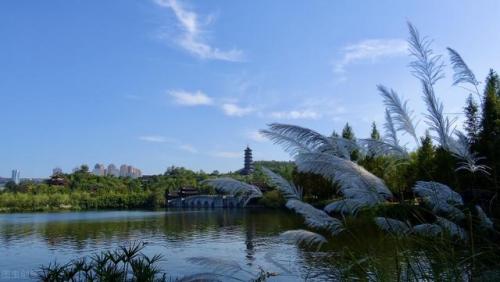重庆野餐地排名前十(重庆哪里野餐最好了)插图5