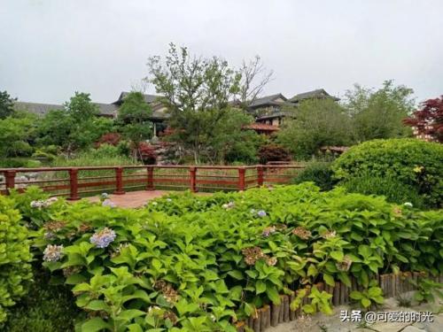 青岛街景酒店排名前十(青岛中心城区酒店排名)插图10