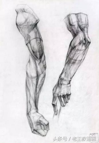 学画画零基础(附近的画画的地方培训班)插图27