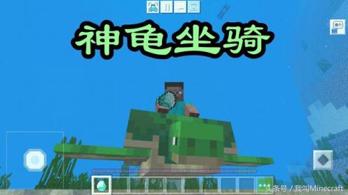 我的世界海豚(钻石傀儡vs循声守卫谁厉害)插图2
