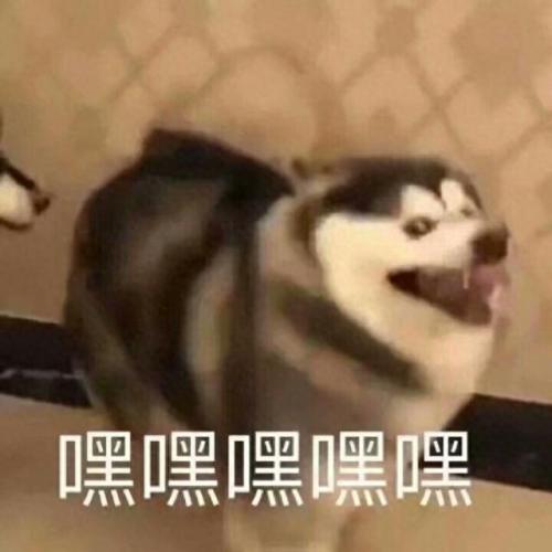 生化危机浣熊市行动配置(生化危机2配置)插图10