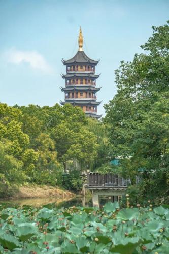 姜堰美食早茶排名前十(姜堰好吃的早茶在哪里)插图8