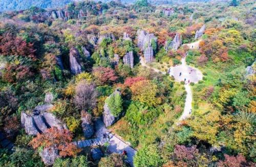 重庆凉快胜地排名前十(离重庆1小时的凉快地方)插图23