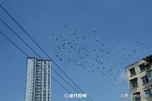 昆明摇滚酒吧排名前十(昆明最好的自唱酒吧)插图38