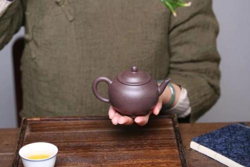 烧水茶壶品种排名前十(烧水壶排名前十名品牌)插图6