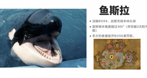 毒蛇神殿攻略完整版(毒蛇神殿攻略图解)插图6