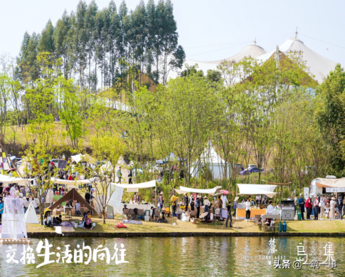 玉林烫发专家排名前十(南宁哪里烫发好又不贵)插图46