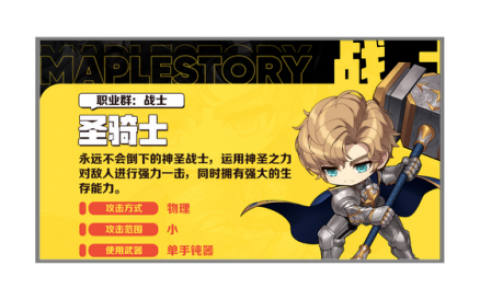 圣骑士技能释放顺序(魔域亡灵技能释放顺序)