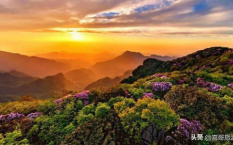 重庆美丽大山排名前十(重庆之最)