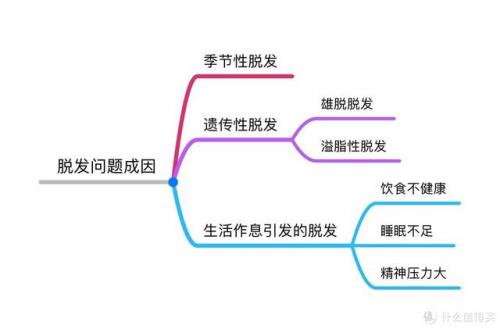 护发产品(十大好用护发精油)插图3