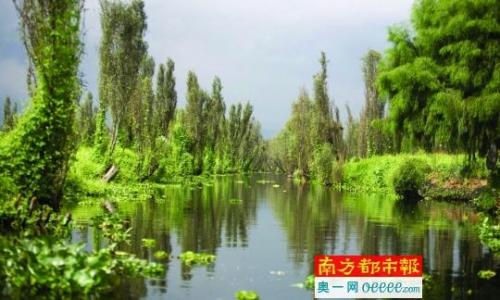 墨西哥蝾螈(蝾螈的危害)插图3