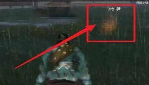 天涯明月刀竹笋在哪采集(天涯明月刀采集竹笋坐标)插图2