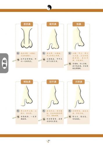 看手相算命(免费算命)插图18