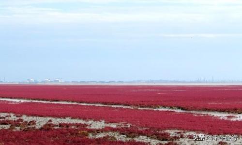 新疆最美湿地排名前十(乌鲁木齐湿地公园在哪里)插图