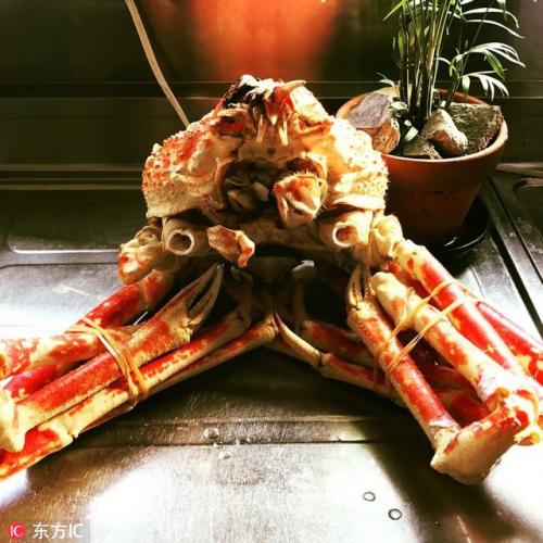 澳洲小众乐器排名前十(学小众乐器有没有出路)插图7