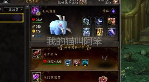 魔兽世界战斗宠物汇总(魔兽世界8.2猎人宠物)插图6