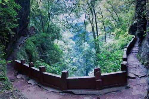 都江堰旅游(都江堰美食)插图22