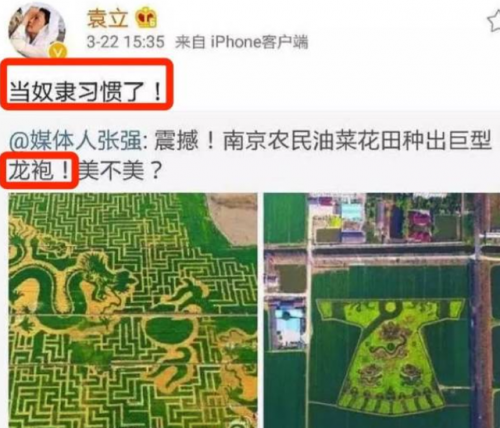 袁立华表奖(2011年红毯袁立造型)插图28