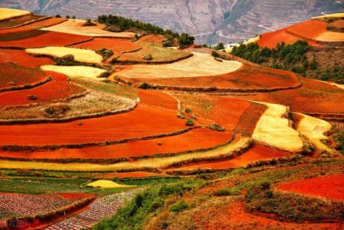 昆明旅游(昆明老街)插图39