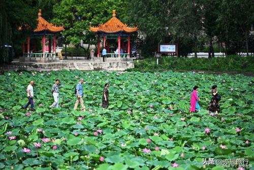 保定最热景区排名前十(保定市区内景点)插图21
