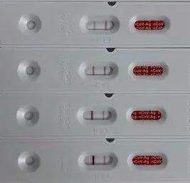 新冠抗原检测试剂盒(抗原c一条杠是阳了吗)插图4