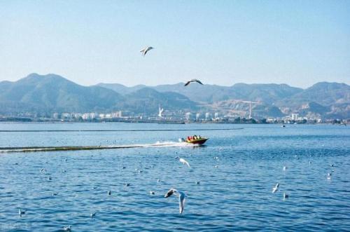 昆明旅游(昆明老街)插图7