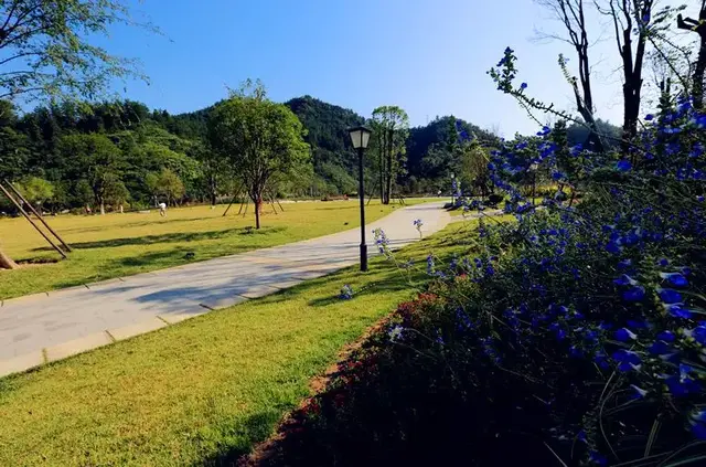 十堰主要山峰排名前十(十堰最高的山)插图11