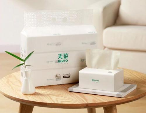 竹子造纸品牌排名前十(用竹造纸是什么时候开始)插图6