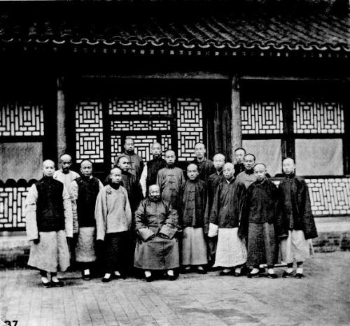 洛克王国紫藤拿什么换(洛克王国紫藤怎么快速获得大量)插图43