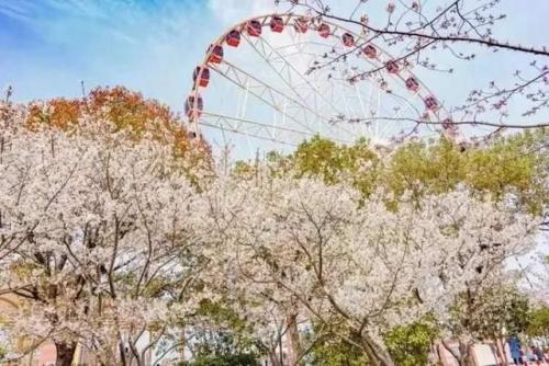 宝山建筑国企排名前十(上海土建国企有哪些)插图23