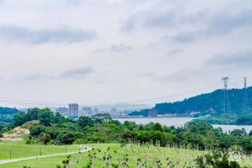 深圳最好玩的地方(深圳最值得去的地方)插图40