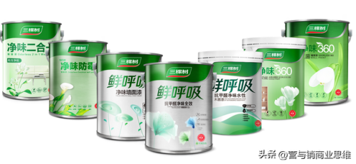 全国油漆十大品牌(十大品牌漆排名)插图2
