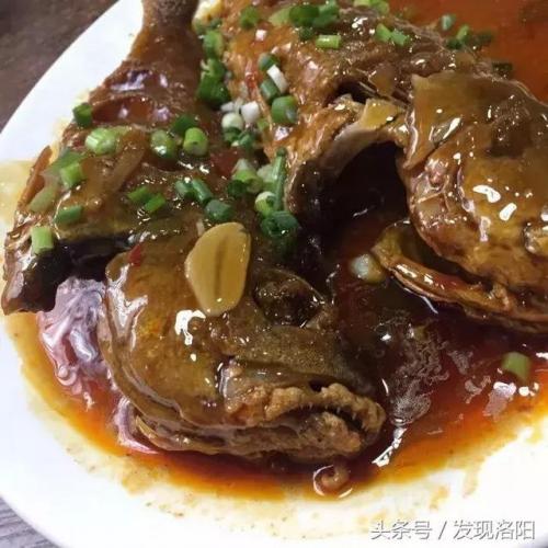 洛阳本地馆子排名前十(洛阳牛肚排名前十名)插图30