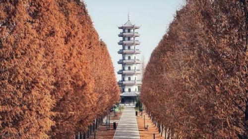 全球国家湿地排名前十(毛里湖国家湿地公园)插图