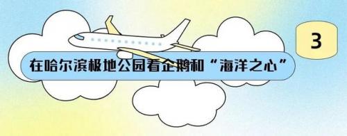 哈尔滨自拍馆排名前十(哈尔滨最好的回民馆)插图7